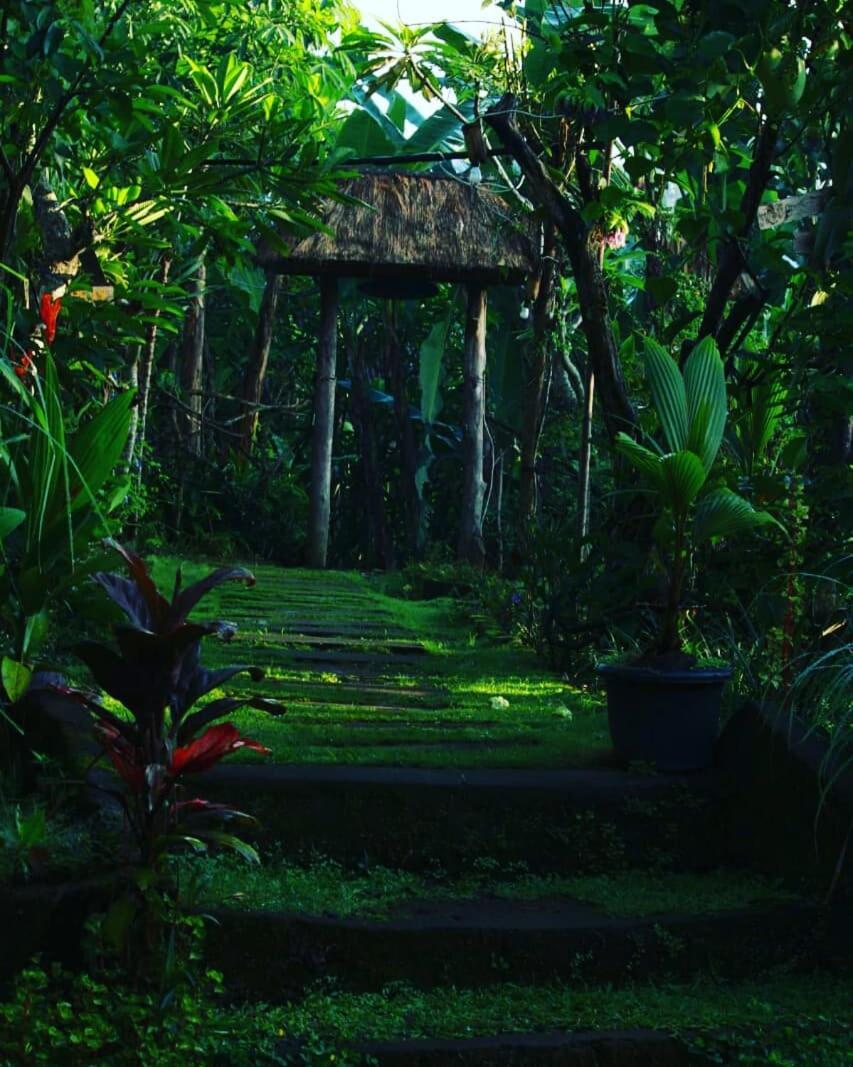 Bucu Hidden Guest House, And Meditation Center Payangan Exterior foto